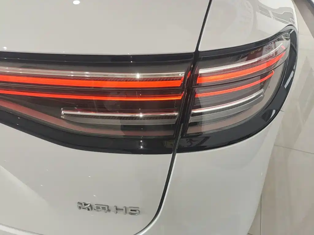Shangjie Shangjie H5 — миниатюра 8
