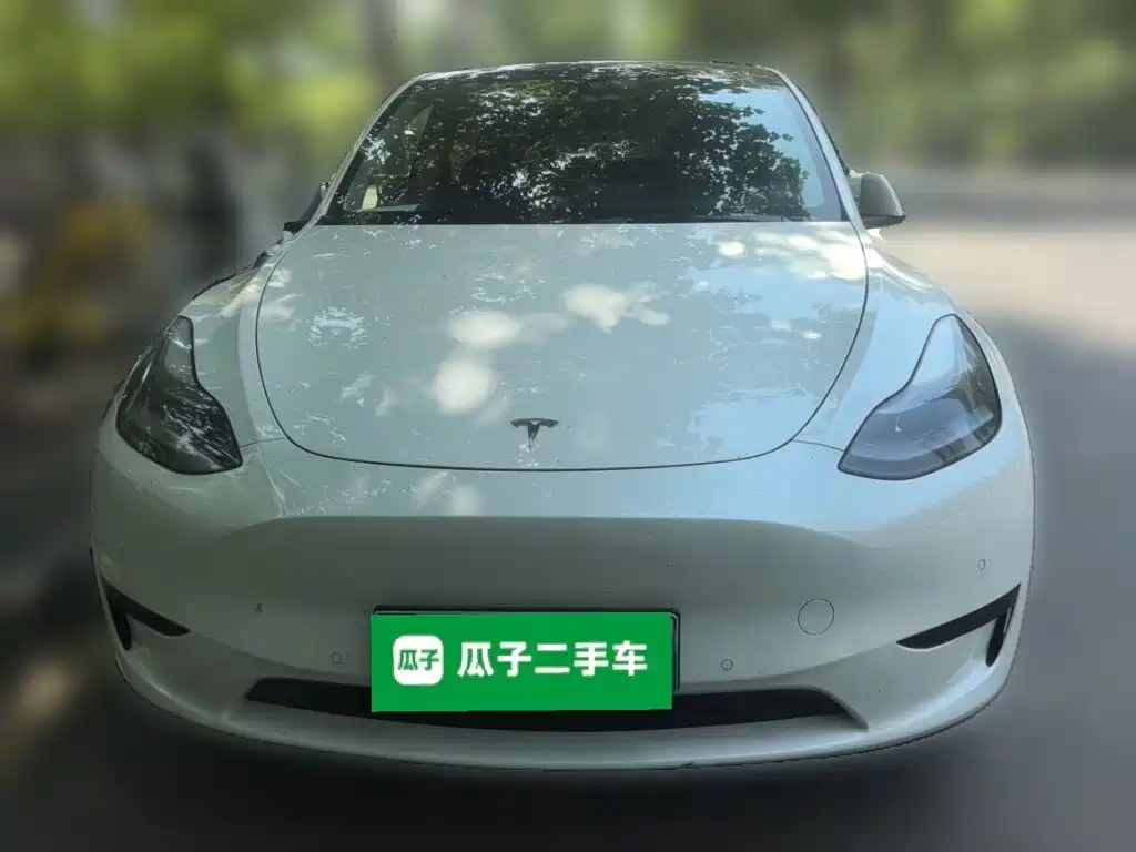 Tesla Model Y — миниатюра 24