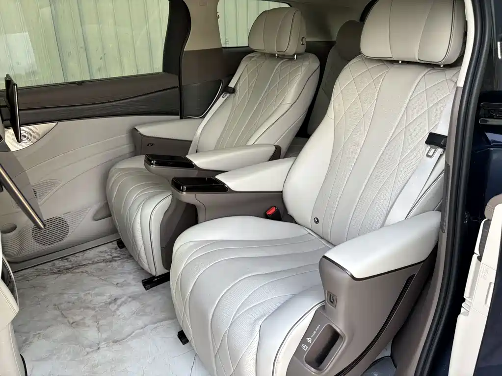 Denza Denza D9 — миниатюра 18