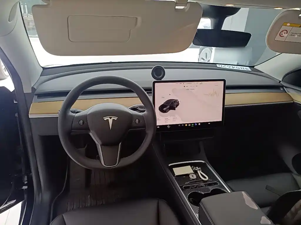 Tesla Model Y — миниатюра 10