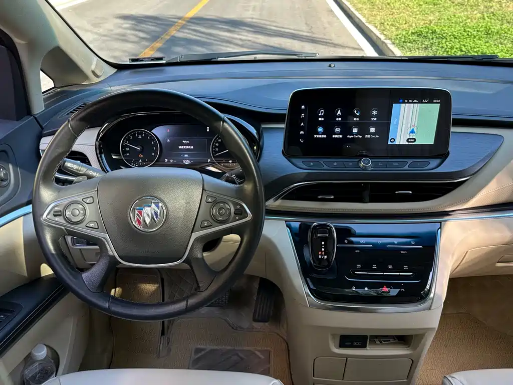 Buick GL8 — миниатюра 10