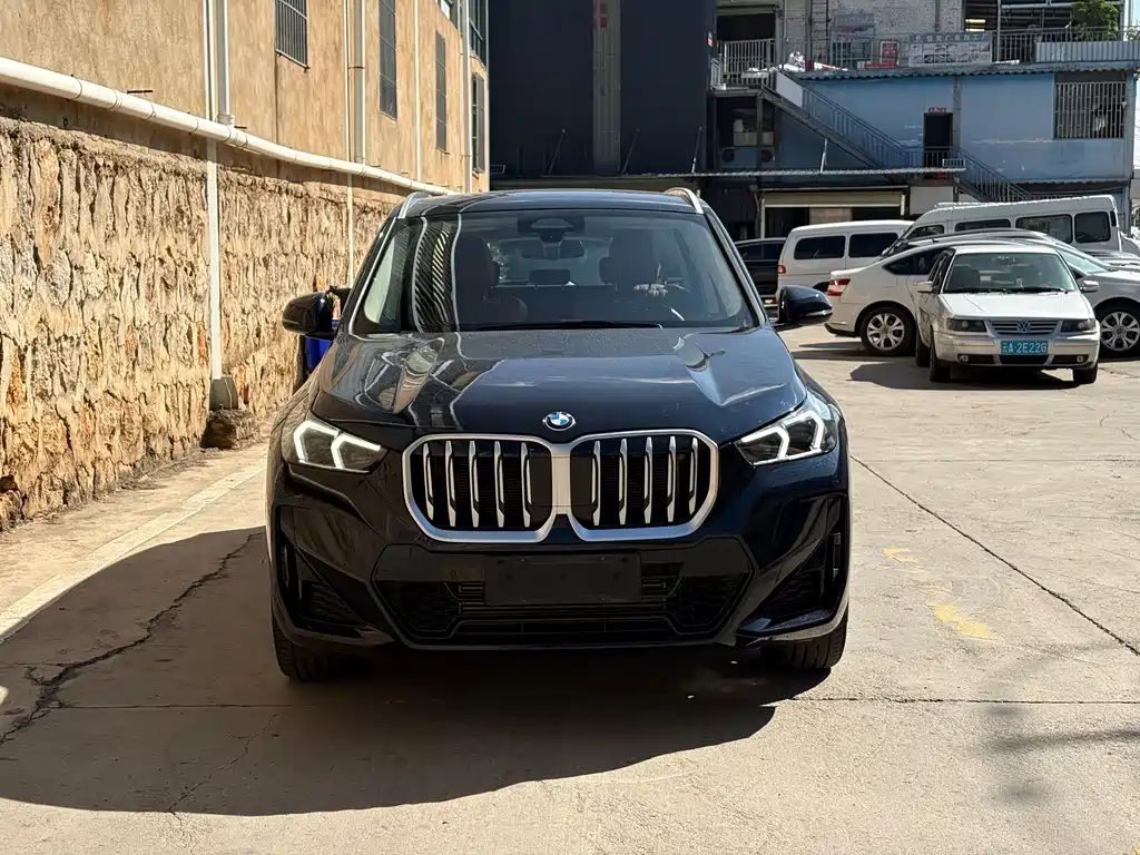 BMW X1 — миниатюра 2