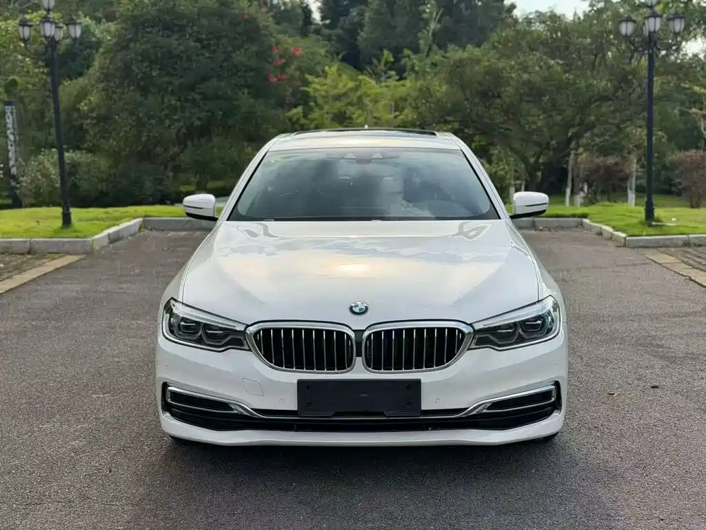 BMW 5 Series New Energy — миниатюра 3
