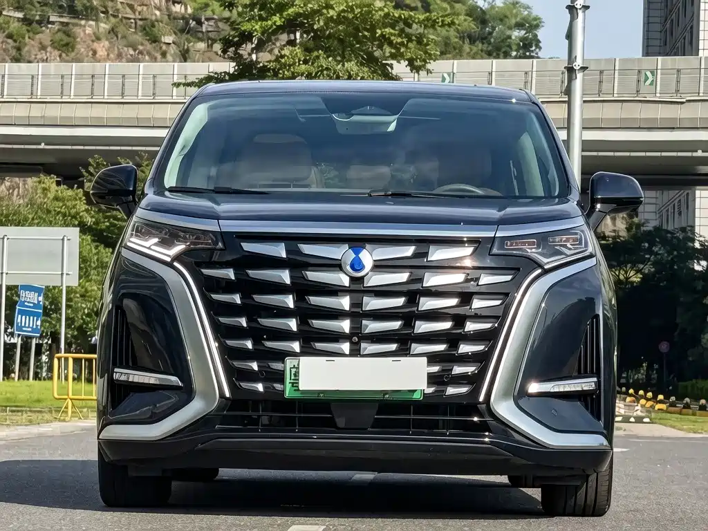 Denza Denza D9 — миниатюра 2
