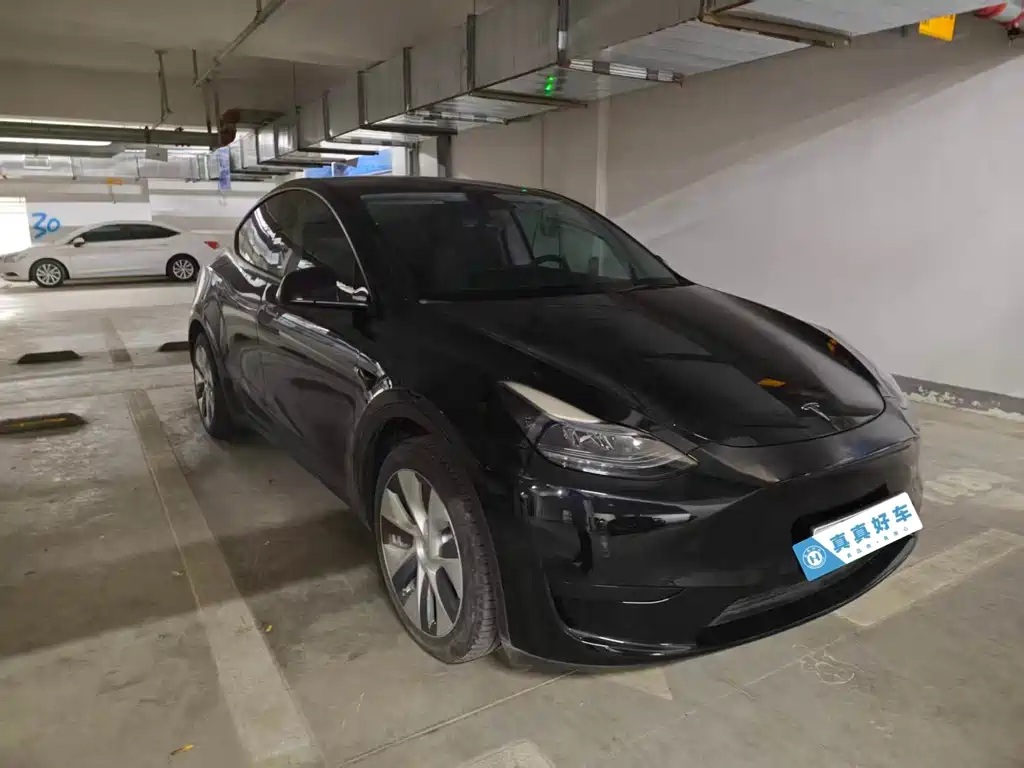 Tesla Model Y — миниатюра 3