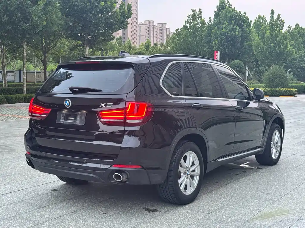 BMW X5 (Import) — миниатюра 6