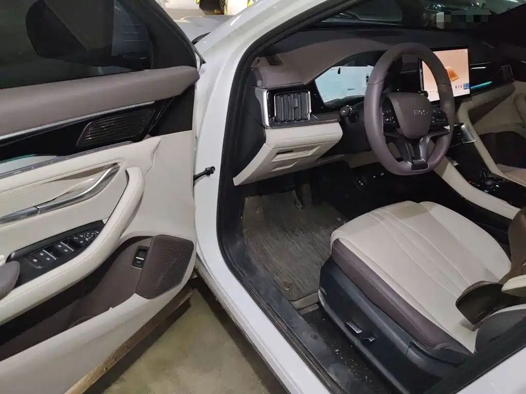 BYD PLUS New Energy — миниатюра 14