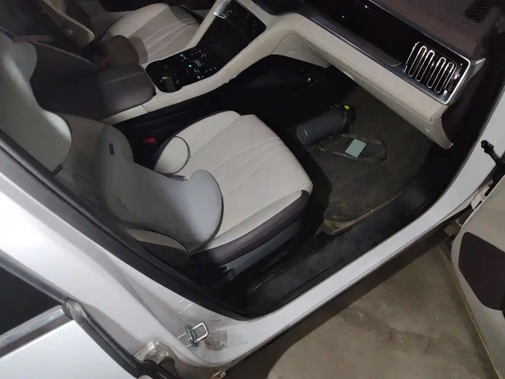 BYD PLUS New Energy — миниатюра 18