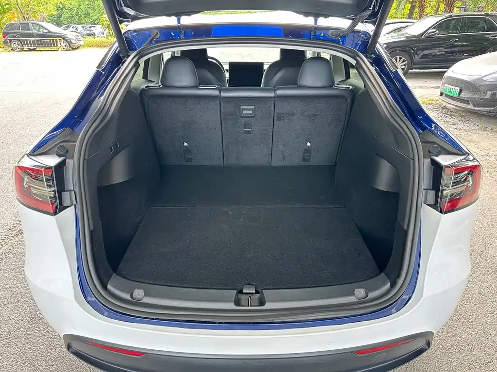 Tesla Model Y — миниатюра 21