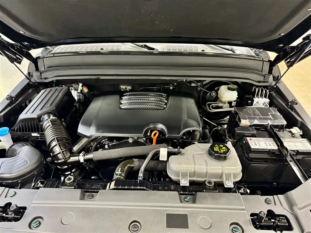 Tank 300 2024 2.0T