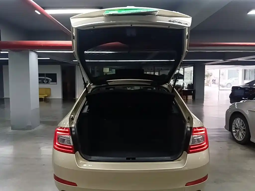 Skoda Octavia — миниатюра 19