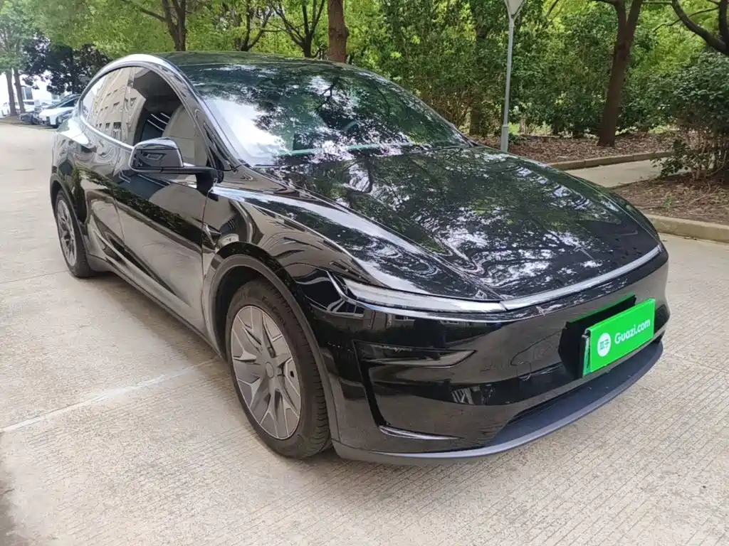 Tesla Model Y L — миниатюра 4