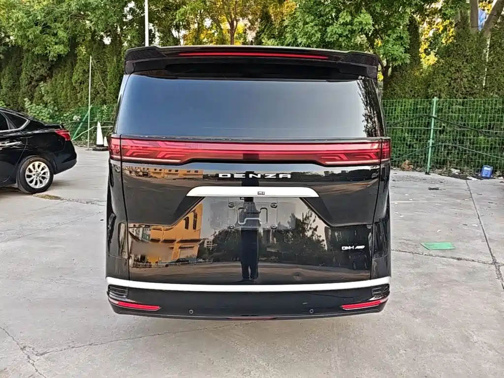 Denza Denza D9 — миниатюра 6