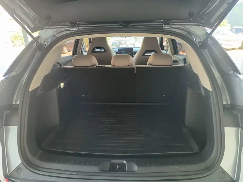 BYD Yuan Plus — миниатюра 19