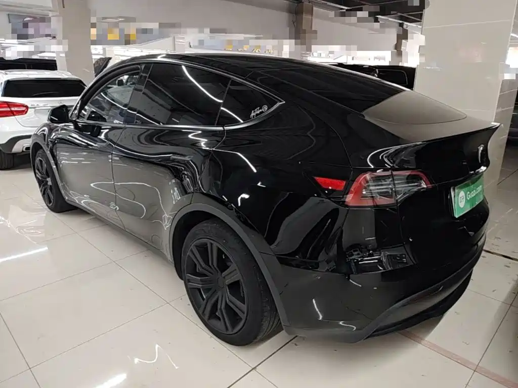 Tesla Model Y — миниатюра 5