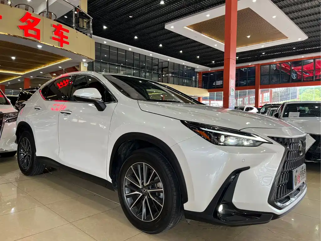 Lexus NX — миниатюра 3