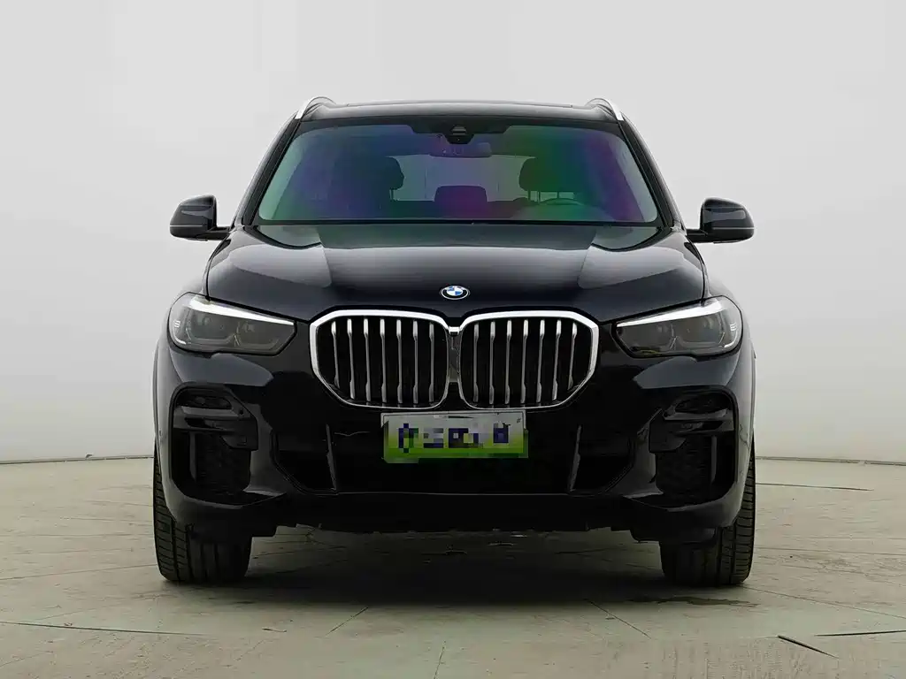 BMW X5 (Import) — миниатюра 2