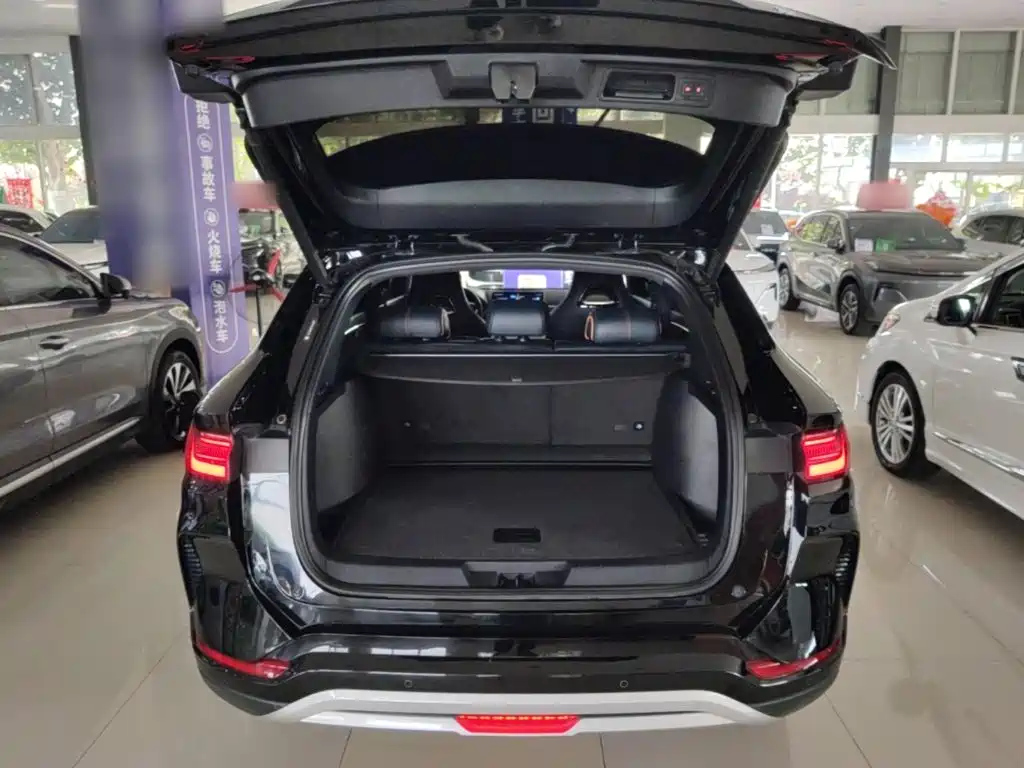 BYD PLUS New Energy — миниатюра 19