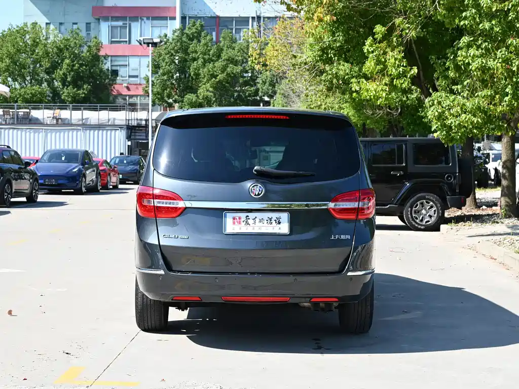 Buick GL8 — миниатюра 4
