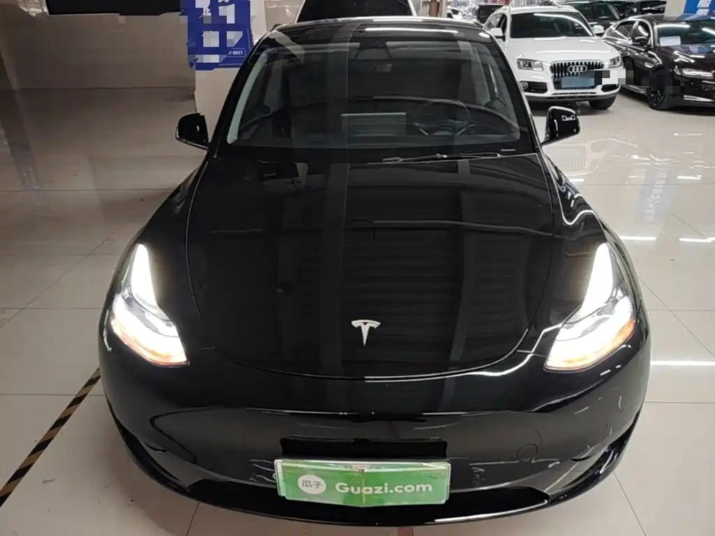 Tesla Model Y — миниатюра 3