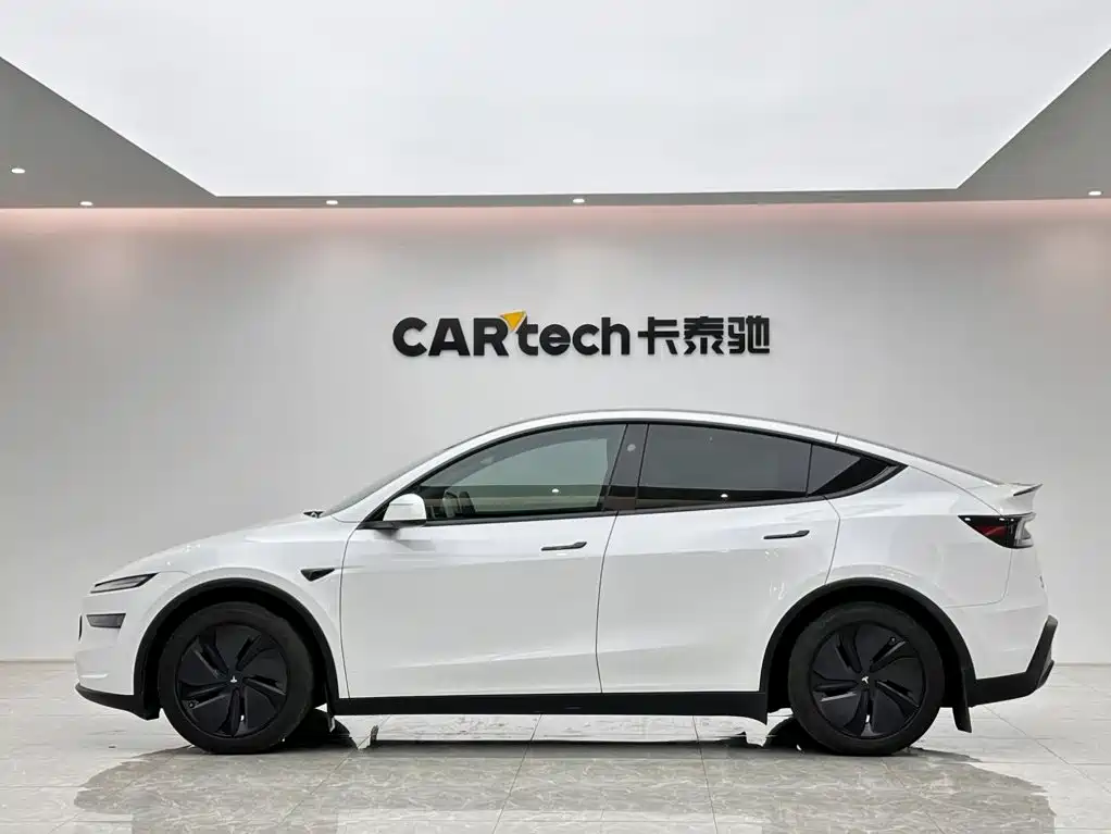 Tesla Model Y — миниатюра 2