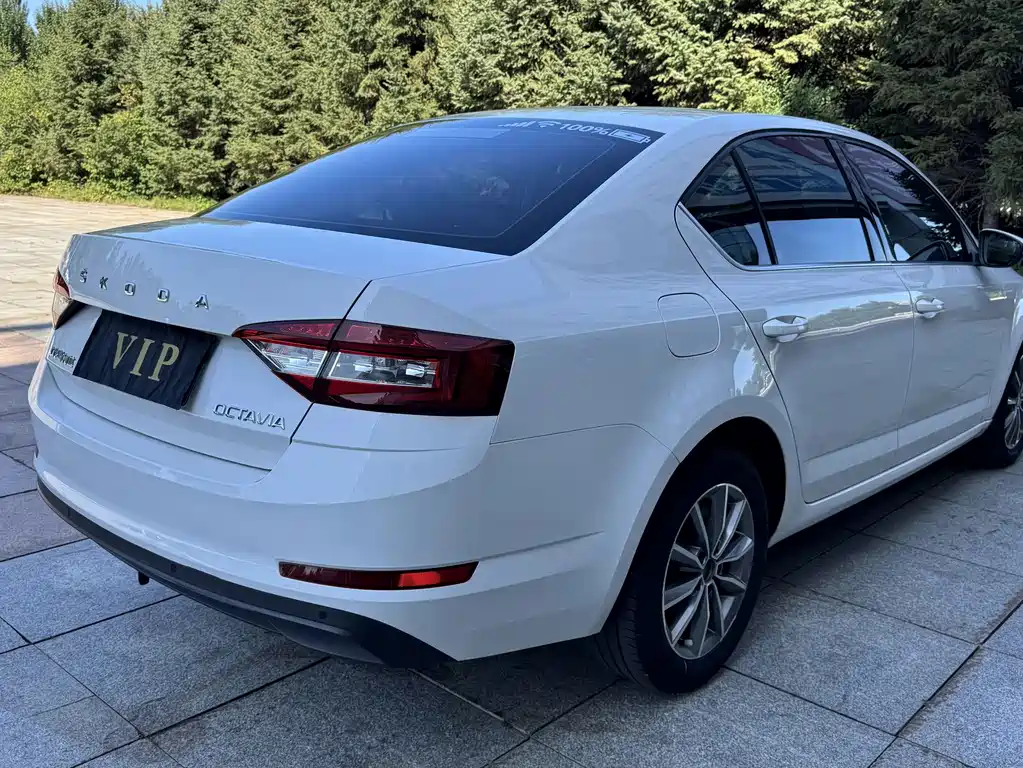 Skoda Octavia — миниатюра 4