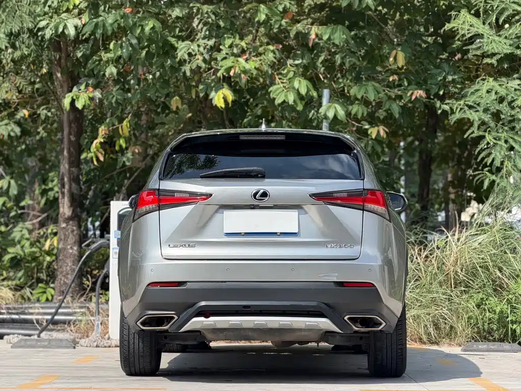 Lexus NX — миниатюра 7