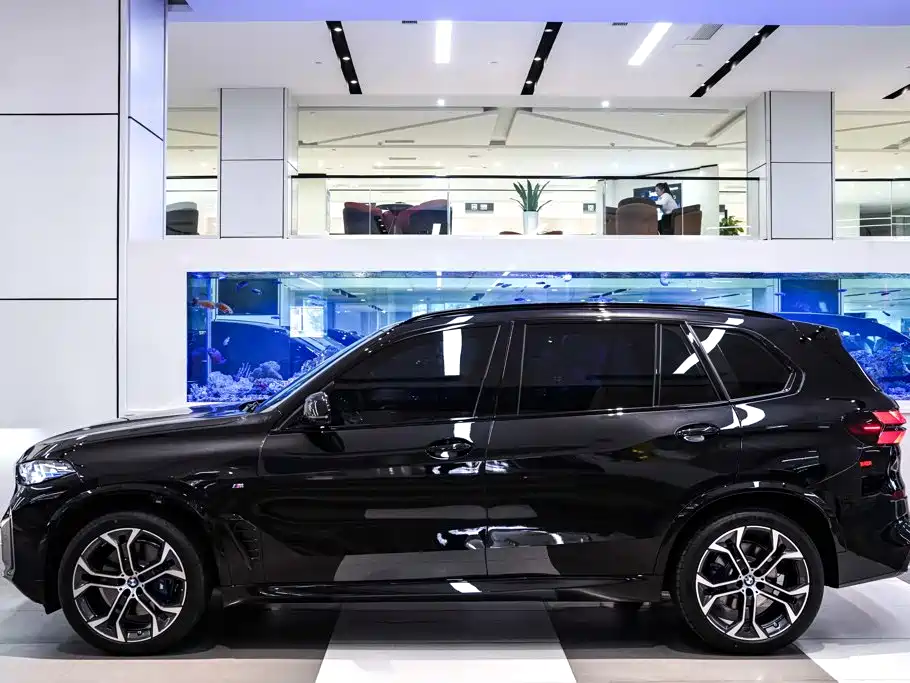 BMW X5 — миниатюра 9