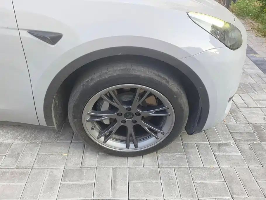 Tesla Model Y — миниатюра 6