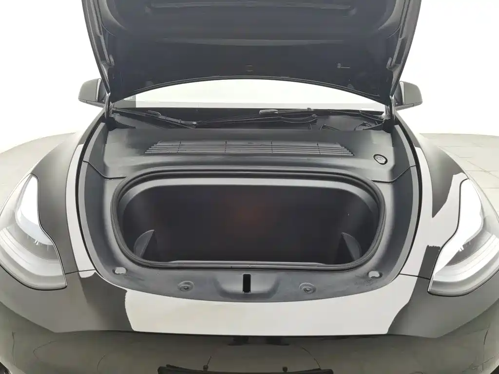 Tesla Model Y — миниатюра 6