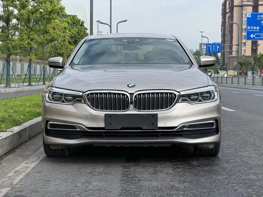 BMW 5 Series 5 2020 530Le Luxury