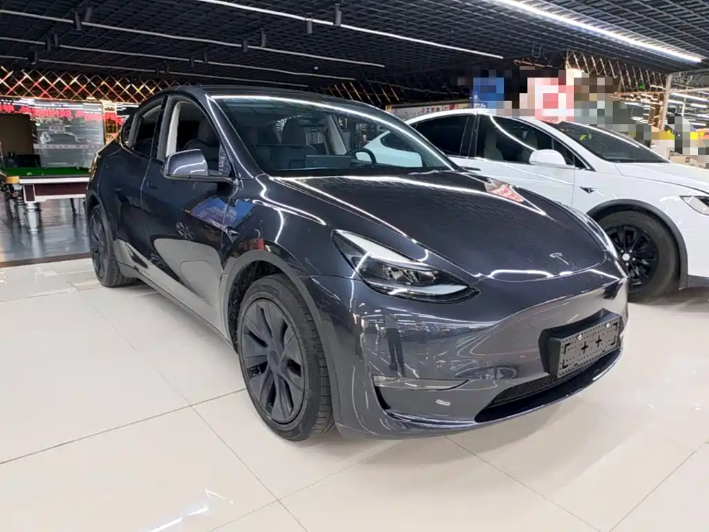 Tesla Model Y — миниатюра 4