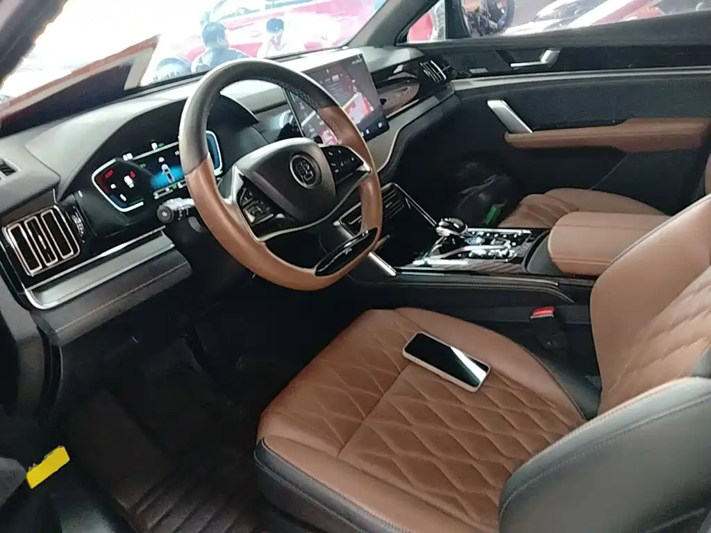 BYD Tang New Energy — миниатюра 15