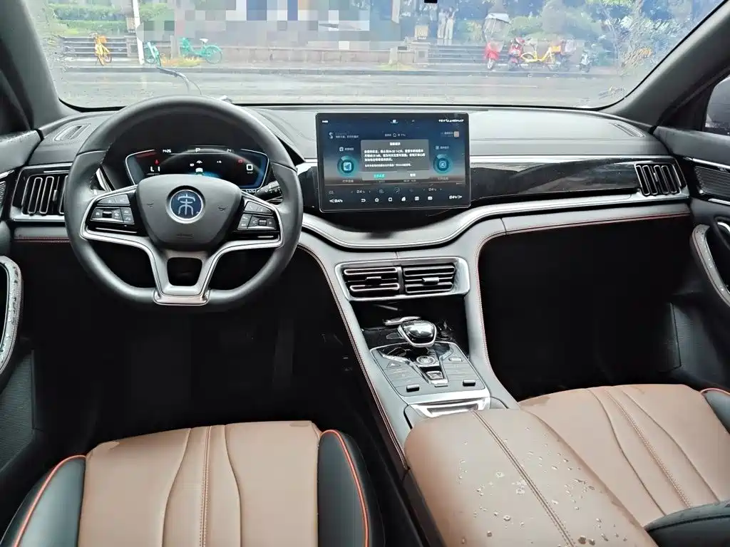 BYD PLUS — миниатюра 13