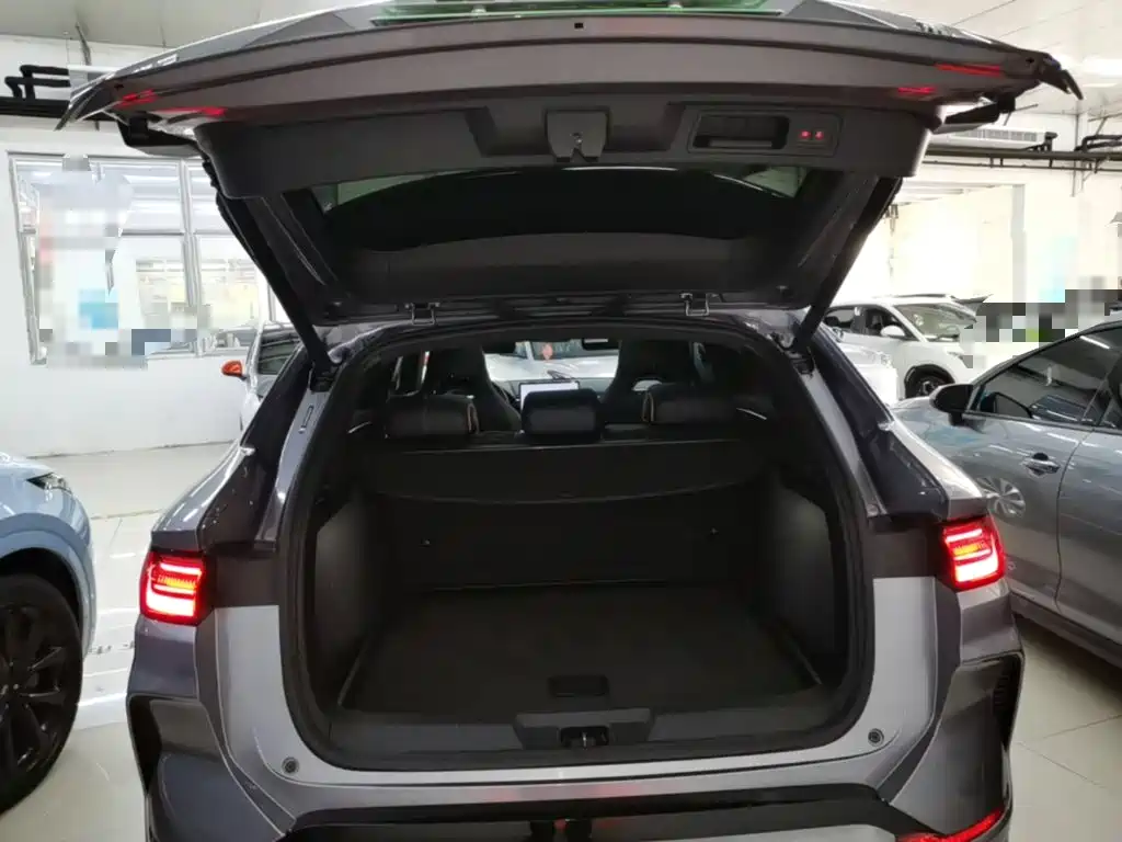 BYD PLUS New Energy — миниатюра 19