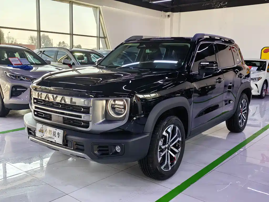 HAVAL BIG DOG