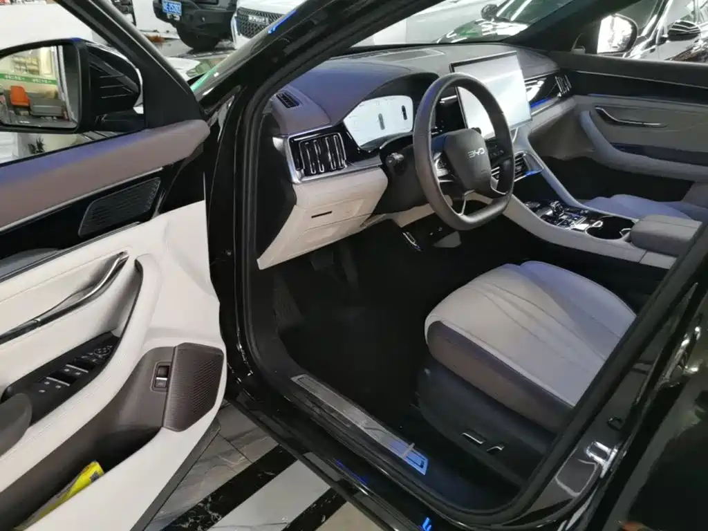 BYD PLUS New Energy — миниатюра 16
