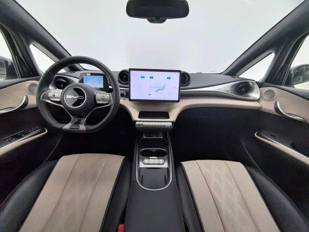 BYD Dolphin — миниатюра 5