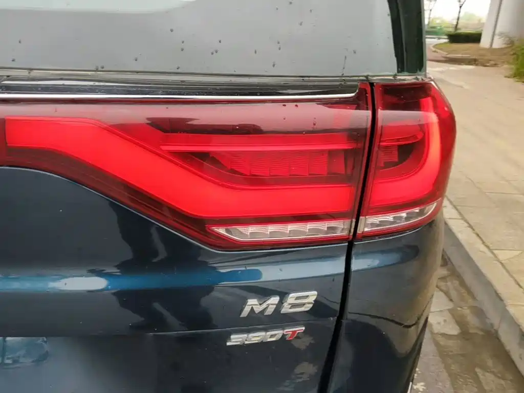 GAC Motor Trumpchi M8 — миниатюра 8