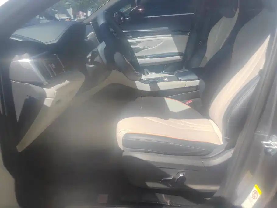 BYD PLUS New Energy — миниатюра 9