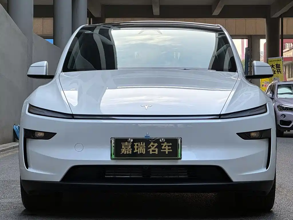 Tesla Model Y — миниатюра 2