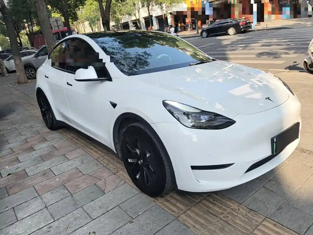 Tesla Model Y — миниатюра 4