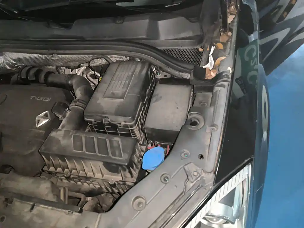 Borgward BX7 — миниатюра 21