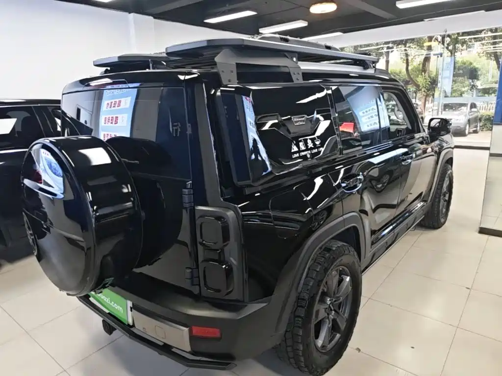Haval Menglong New Energy — миниатюра 7