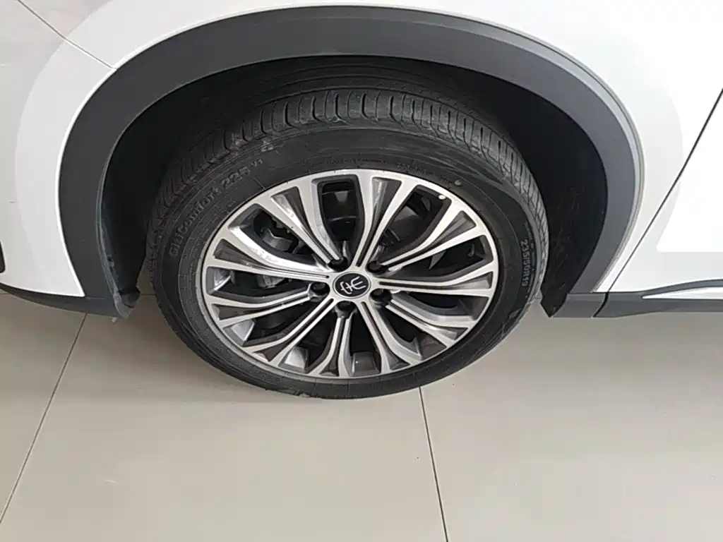 BYD Pro New Energy — миниатюра 23
