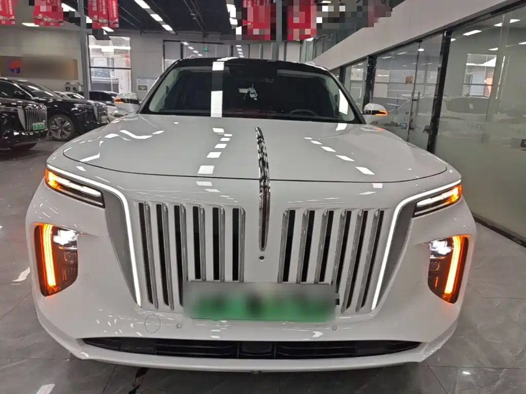 Hongqi Hongqi E-HS9 — миниатюра 3