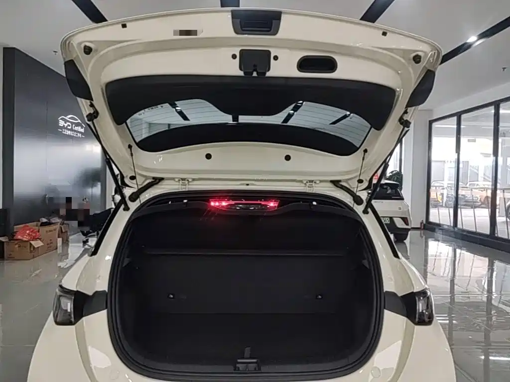 BYD Dolphin — миниатюра 19