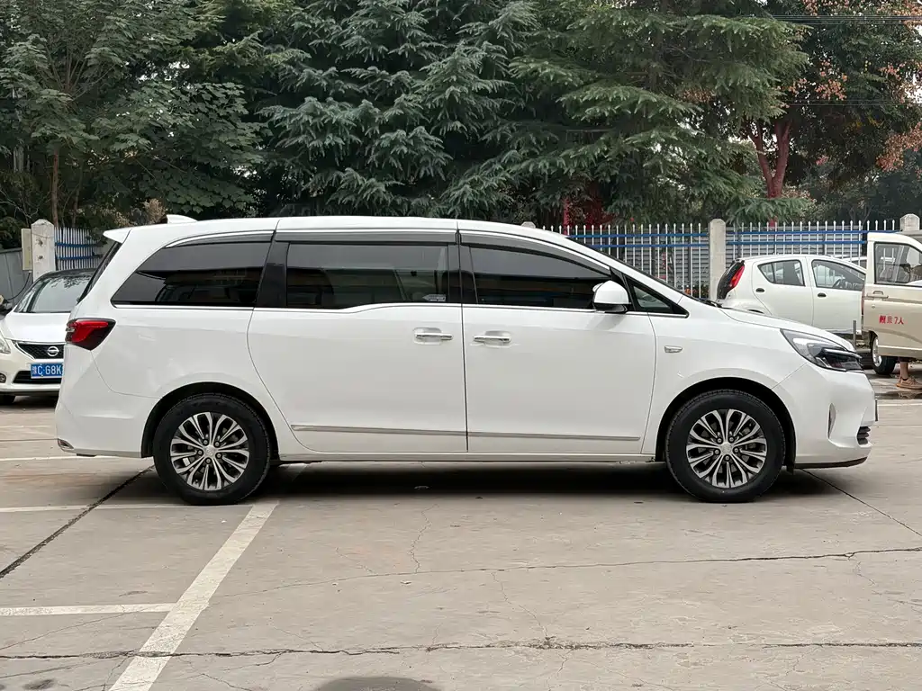 Buick GL8 — миниатюра 19