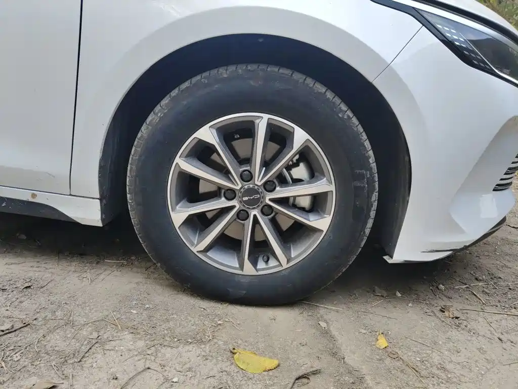 BYD Destroyer 05 — миниатюра 25