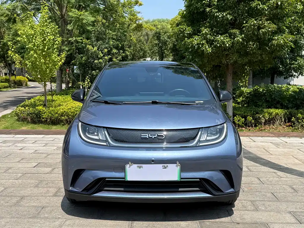 BYD Dolphin — миниатюра 2